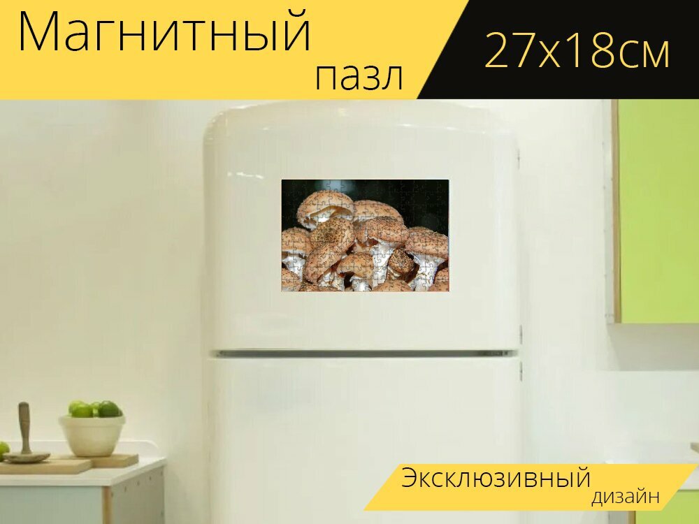 Магнитный пазл "Грибы, опёнок осенний, съедобный гриб" на холодильник 27 x 18 см.