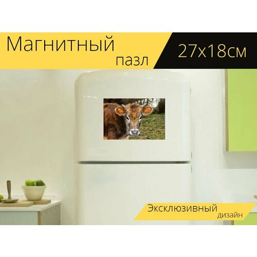Магнитный пазл Корова, бык, животное на холодильник 27 x 18 см. магнитный пазл корова животное корейский медицинский центр на холодильник 27 x 18 см