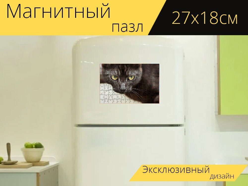 Магнитный пазл "Кот, домашнее животное, домашняя кошка" на холодильник 27 x 18 см.