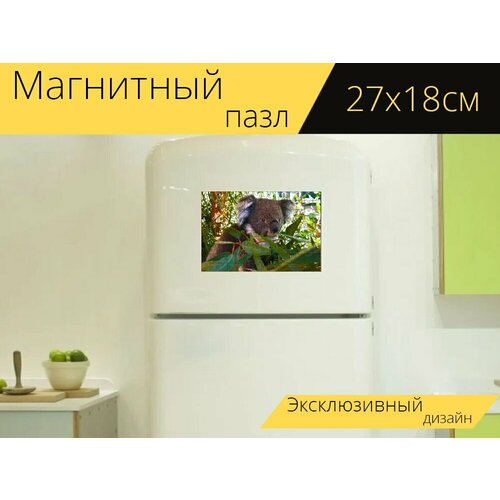 Магнитный пазл Коала, нести, животное на холодильник 27 x 18 см. магнитный пазл коала сумчатое животное серый на холодильник 27 x 18 см