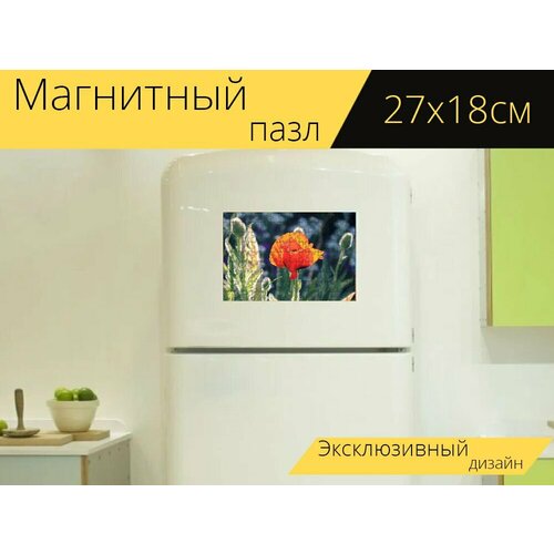 Магнитный пазл Мак, цветок мака, красный мак на холодильник 27 x 18 см.