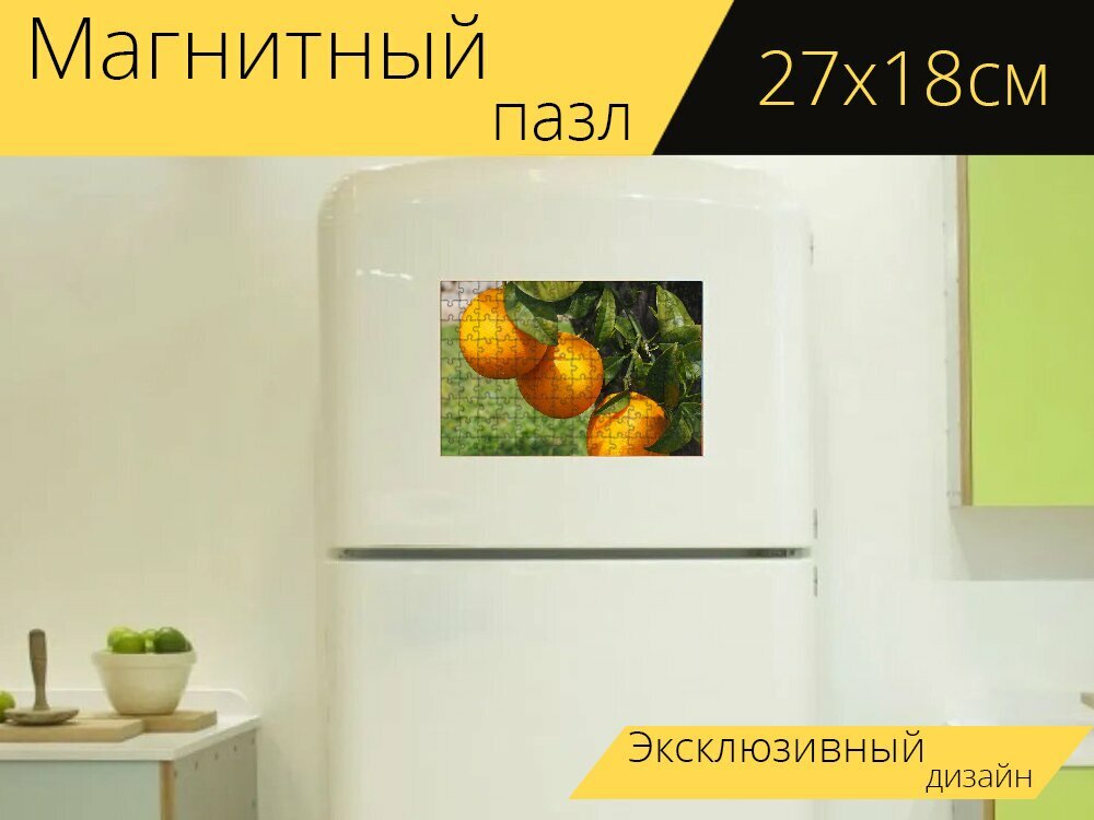 Магнитный пазл "Апельсины, фрукты, апельсиновое дерево" на холодильник 27 x 18 см.