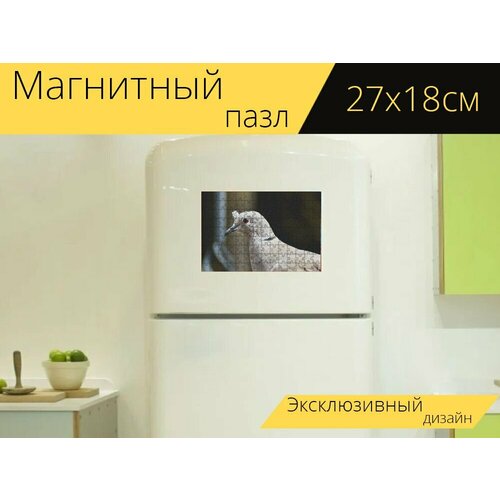 Магнитный пазл Индюшачий голубь, птица, оперение на холодильник 27 x 18 см.
