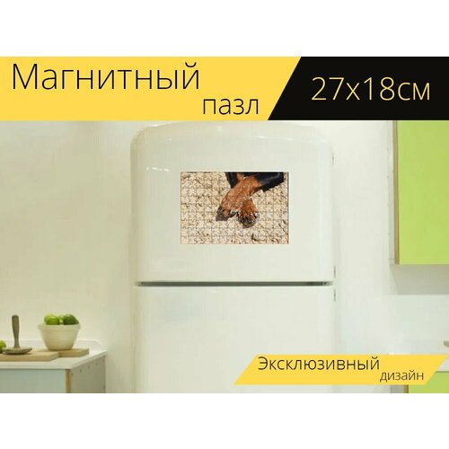 Магнитный пазл Собака, пинчер, лапы на холодильник 27 x 18 см. магнитный пазл собака пинчер лапы на холодильник 27 x 18 см