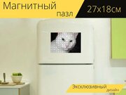 Магнитный пазл "Кошка, белый, кошачий" на холодильник 27 x 18 см.