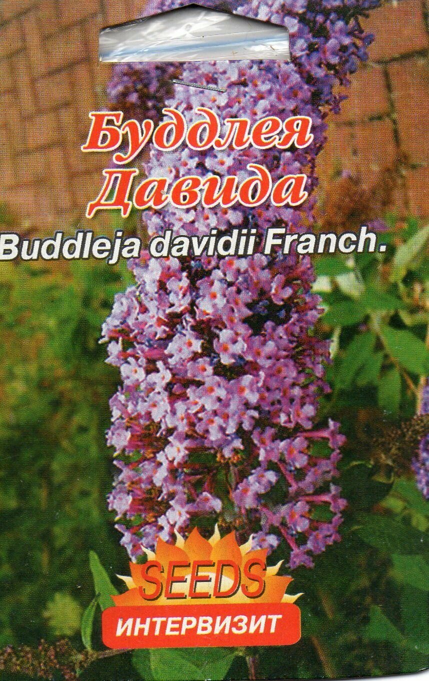 Будлея давида (Buddleja davidii Franch)семена