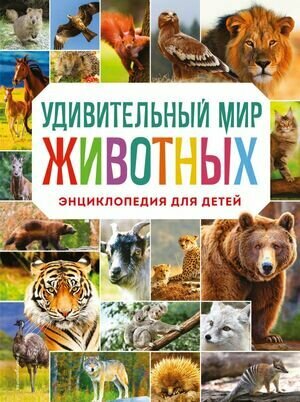 Удивительный мир животных. Энциклопедия для детей (Баранова Н. Н.)
