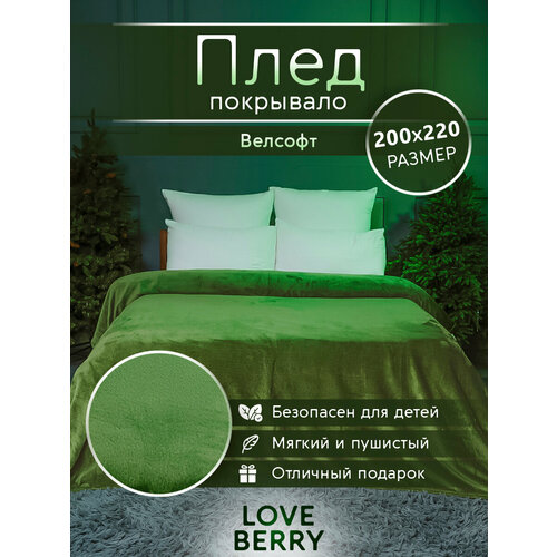 Плед LOVEBERRY Евро, 200х220 см из велсофта