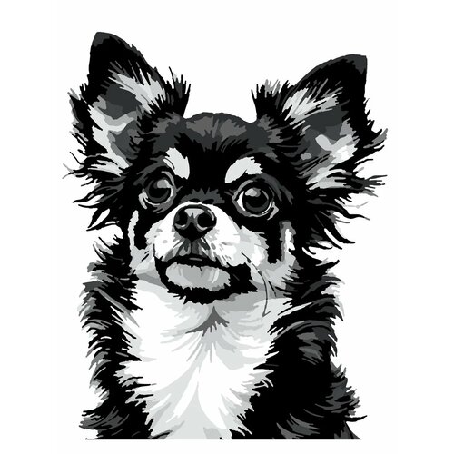 фото Картина по номерам "чихуахуа" тут рисуют, холст на подрамнике, 40x50 см, акриловые краски, 14 цв