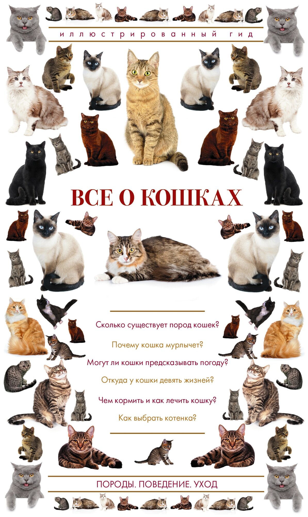 Все о кошках (Непомнящий Николай Николаевич) - фото №1