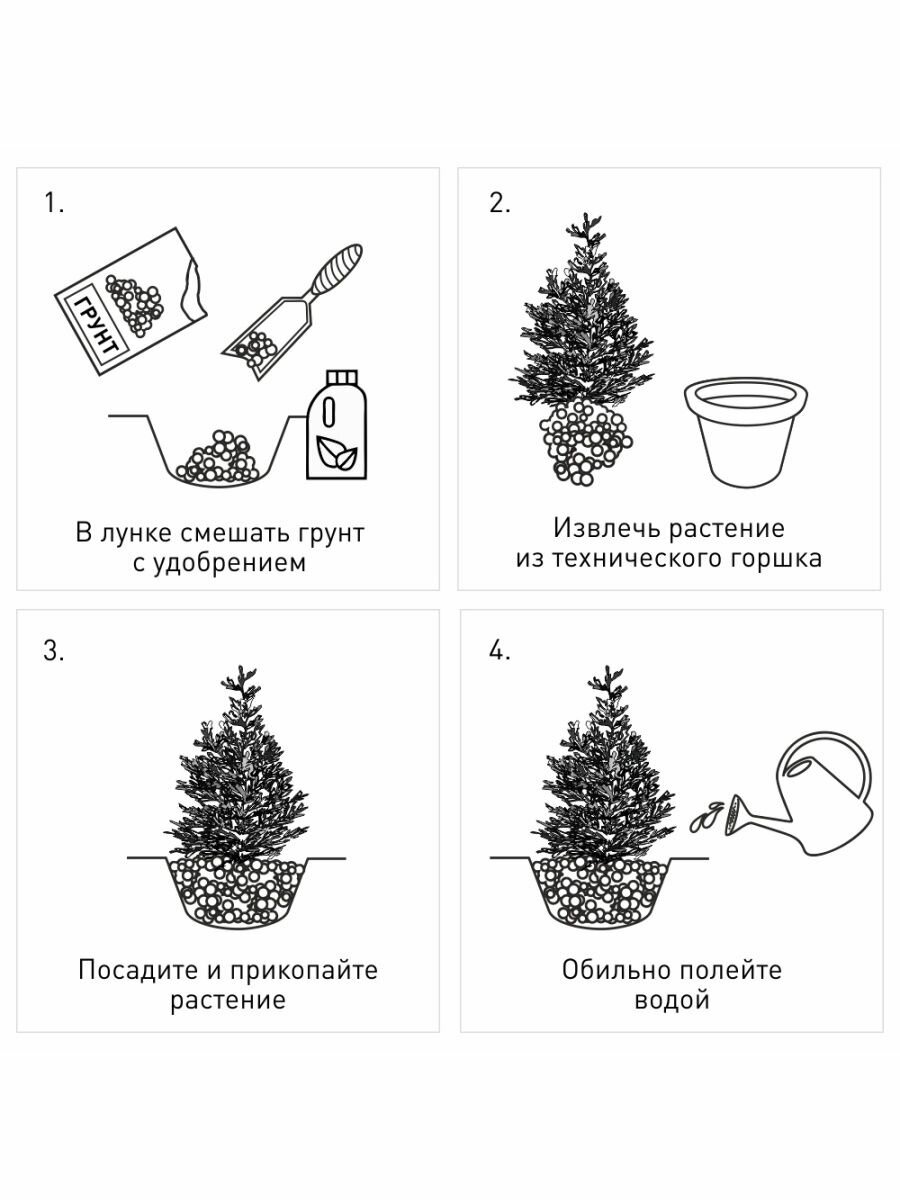 Грунт для хвойных и бонсай «Фаско» Цветочное счастье, 5 л - фото №13