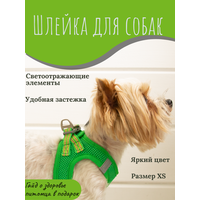 Прогулочная шлейка для собак и кошек со светоотражающими элементами, XS зелёная