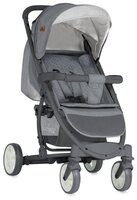 Прогулочная коляска Lorelli S300 rose/grey cities