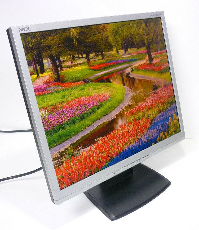 Монитор 19" NEC AccuSync LCD93V