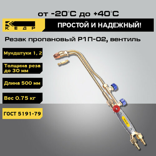 Резак пропановый кедр Р1П-02 (№ 1-2), вентиль кольцо уплотнительное для резака кедр р1п 02 кедр р3п 02 8012389