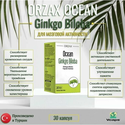 Гинкго билоба Ocean Ginkgo Biloba, ORZAX, 30 капсул