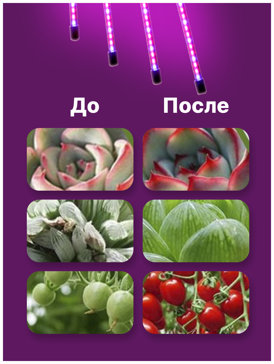 Фитолампа для рассады и растений на штативе