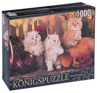 Пазл Рыжий кот Konigspuzzle Персидские котята (ГИК1000-8240) , элементов: 1000 шт.