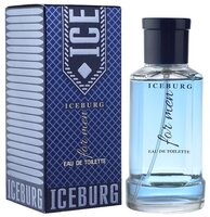 Туалетная вода Парфюмерия XXI века IceBurg for men 85 мл