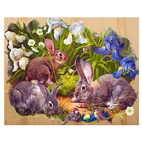 фото Color Kit Картина по номерам "Кролики и воробышек" 40х50 см (DER008)