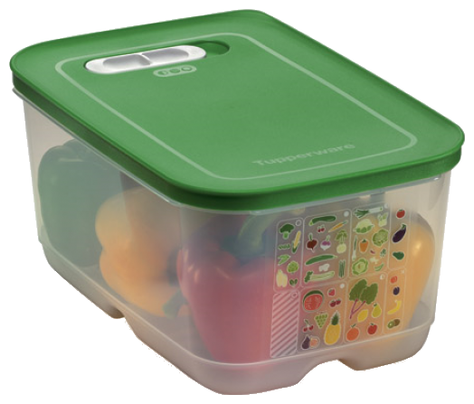 Tupperware Контейнер "Умный холодильник" 4400 мл, 19x28.5 см, прозрачный/зеленый - фотография № 2