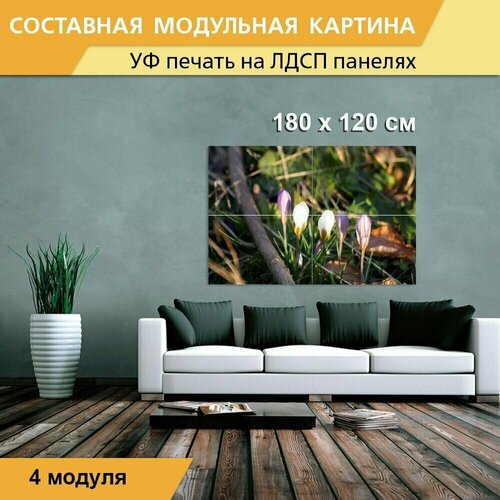 Модульная картина 