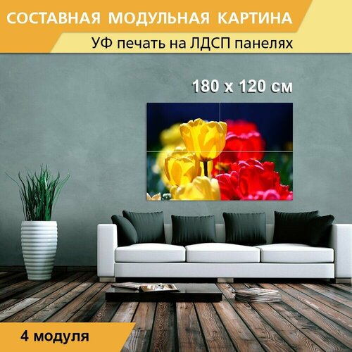 Модульная картина 