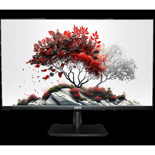 RDW 2701K (F00B0) 27 Monitor 1920x1080, IPS, 16:9, 250cd/m2, 1000:1, 6ms, 178°/178°, 75Гц, VGA, HDMI, DP, Audio-in, Audio-out, VESA 100x100, SPK внеш монитор hp p27h g4 27 ips 1920x1080 75гц 5 мс hdmi vga dp чёрный