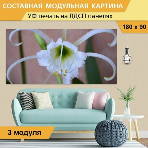 Модульная картина 