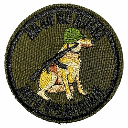 Нашивка, шеврон, патч (patch) на липучке Собака Да он же дурак, размер 8*8 см