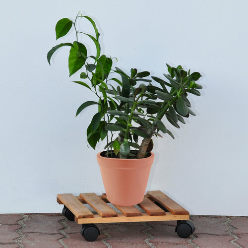 Подставка для цветов Флорэль на колесиках (коричневый / сосна / бейц / коричневый / пластик / квадратная)