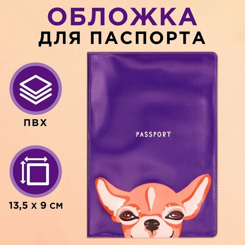 Обложка для паспорта Пушистое счастье Обложка Чихуахуа 9568797, фиолетовый, коричневый обложка для паспорта пушистое счастье фиолетовый