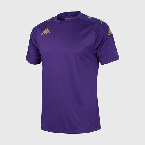 Беговая футболка Kappa, силуэт полуприлегающий, влагоотводящий материал, быстросохнущая, вентиляция, размер L, фиолетовый