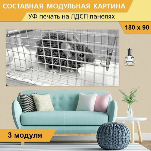Модульная картина 