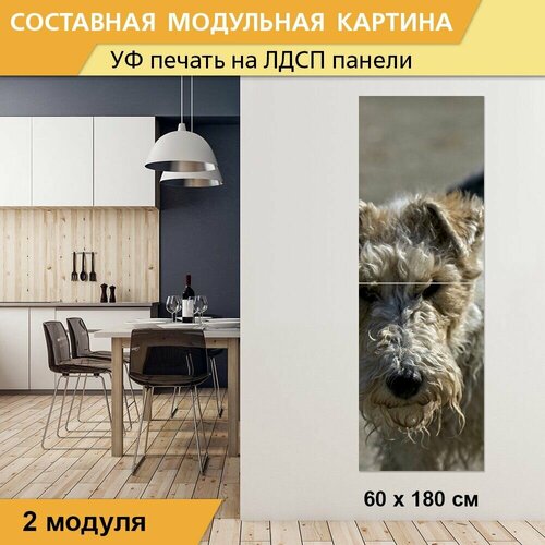 Модульная картина 