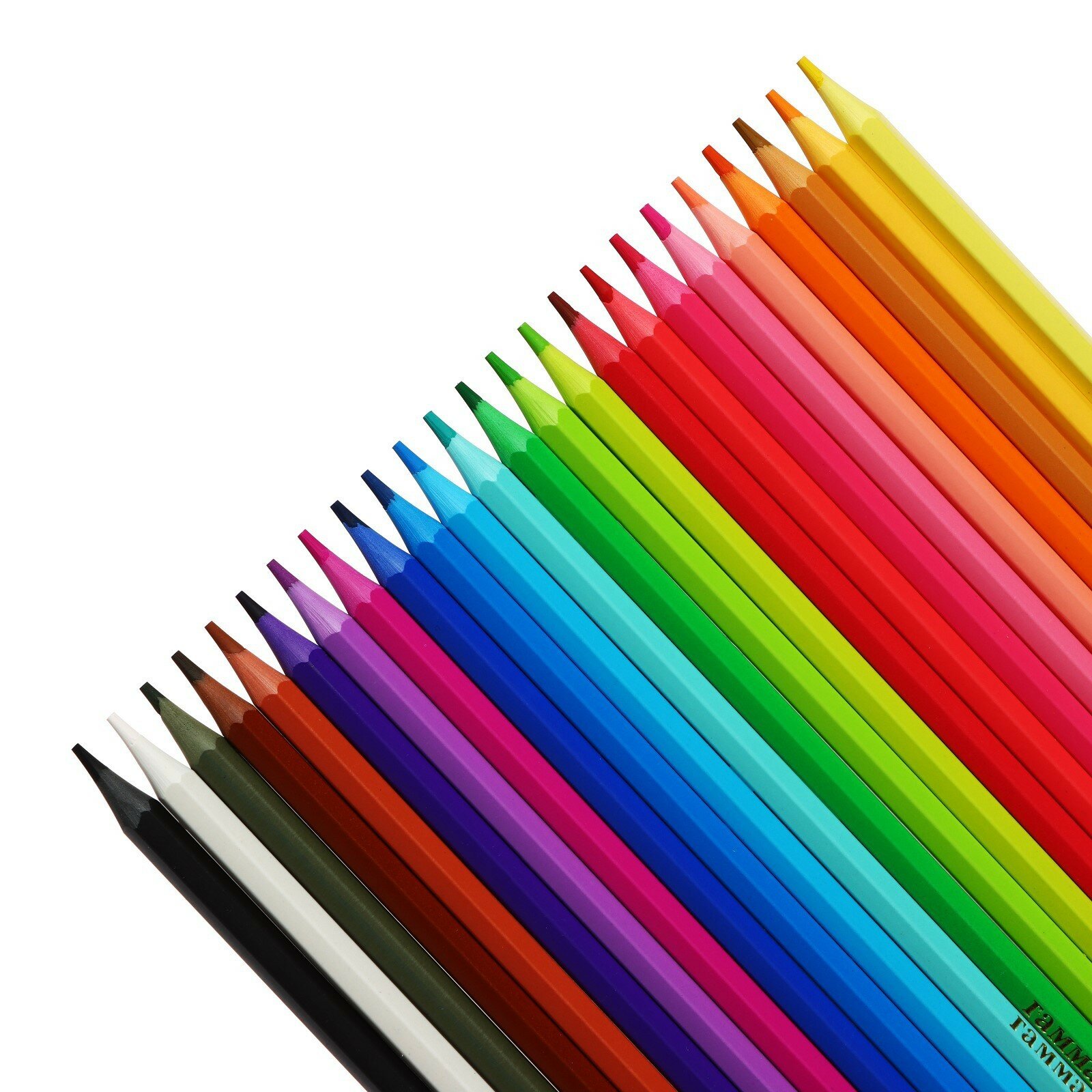 Цветные карандаши для школы 24 цвета, пластиковые шестигранные / Набор цветных карандашей для рисования школьный Гамма "Мультики"