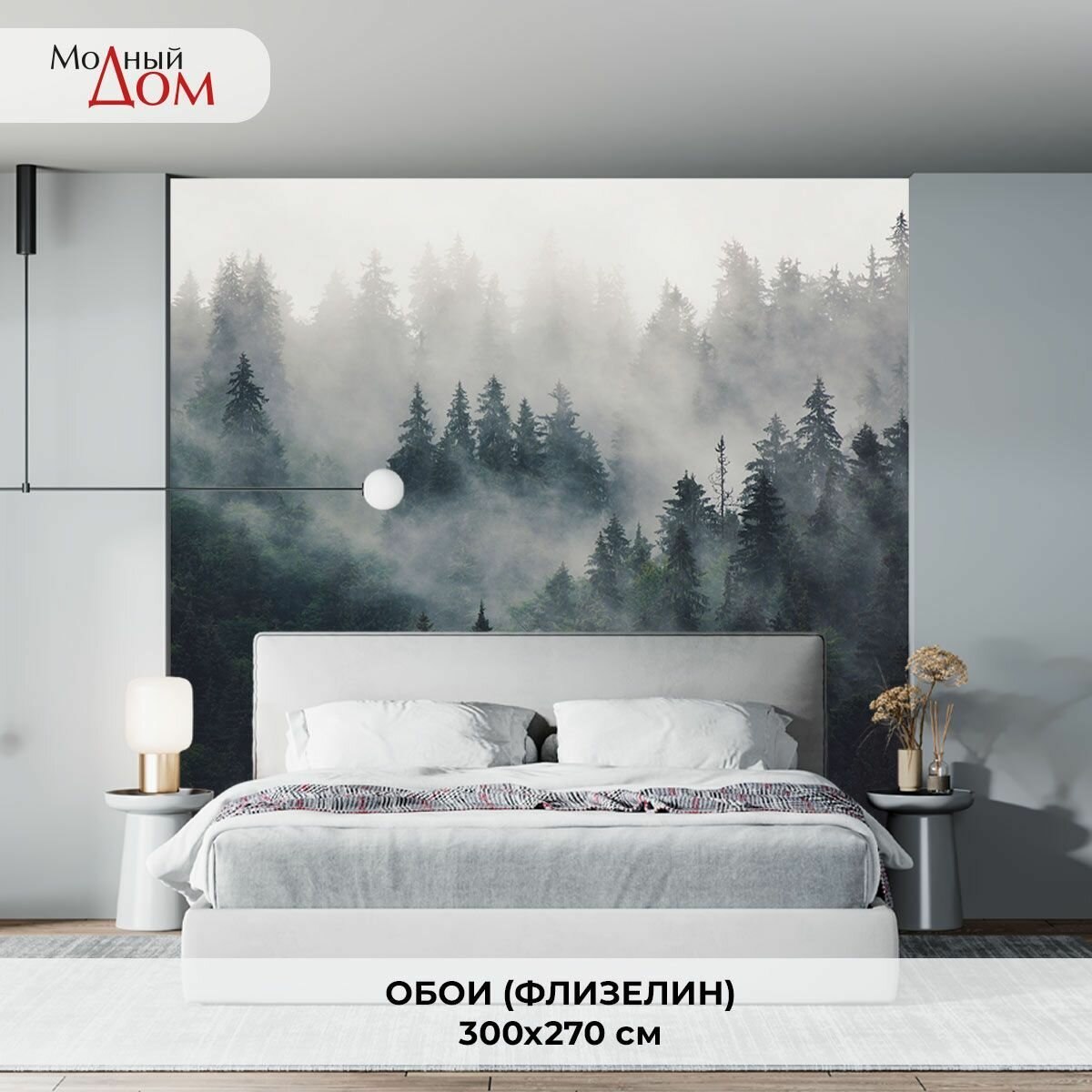 фото Лес в тумане