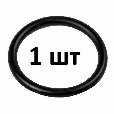 фото 55353331 Уплотнительное кольцо (прокладка) General Motors оригинал - 1 шт.