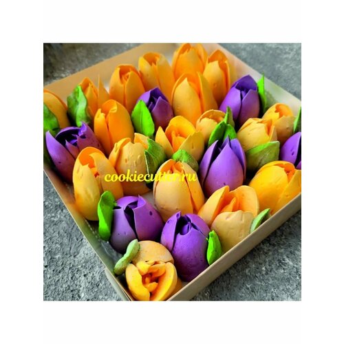 Кондитерская насадка Тюльпан XL №2