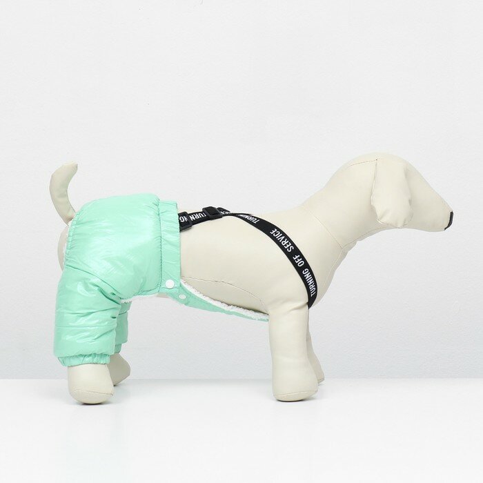 Комбинезон-штаны для собак, размер XS (ДС 26, от 28 см), мятный - фотография № 3