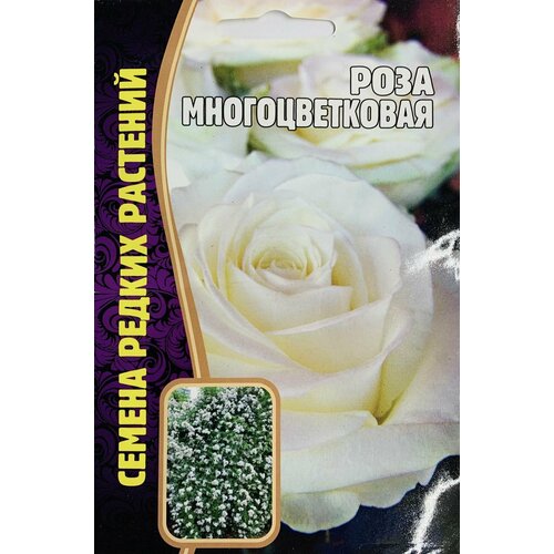 Роза Многоцветковая белая, 1 пакет, семена 7 шт