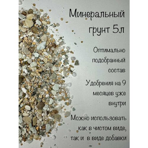 Минеральный грунт для суккулентов и комнатных растений 5л