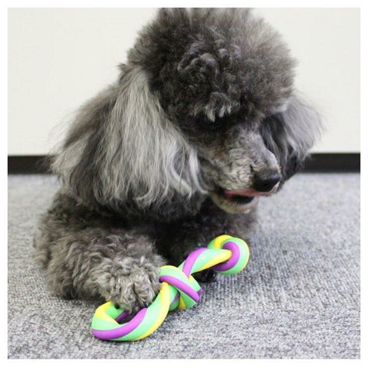 Латексная игрушка-антистресс для собак Japan Premium Pet в виде косточки с петлёй со вкусом манго и функцией чистки зубов. Для мелких и мини пород - фотография № 2