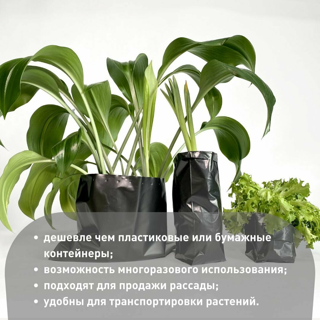 Изображение Пакеты для рассады и цветов 11л, 40 шт, многоразовые мешочки для рассады, полиэтиленовые мешки для растений с перфорацией и дренажем
