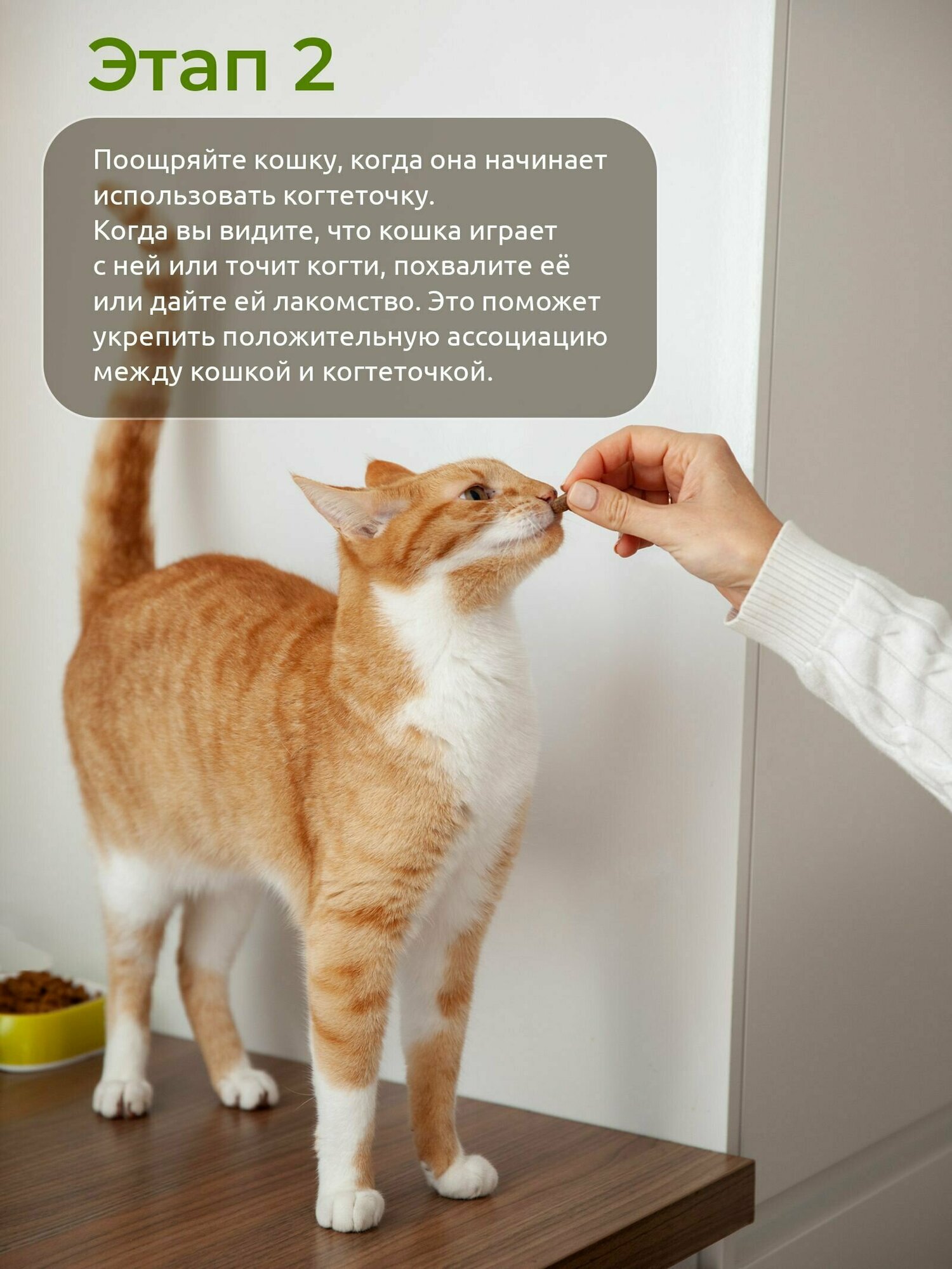 Напольная когтеточка для кошки 56 см с лежанкой комплекс когтедралка для кота, столбик джут, дразнилка - фотография № 3