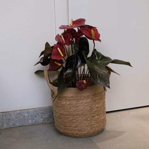 Корзина-кашпо для растений, д30, в28