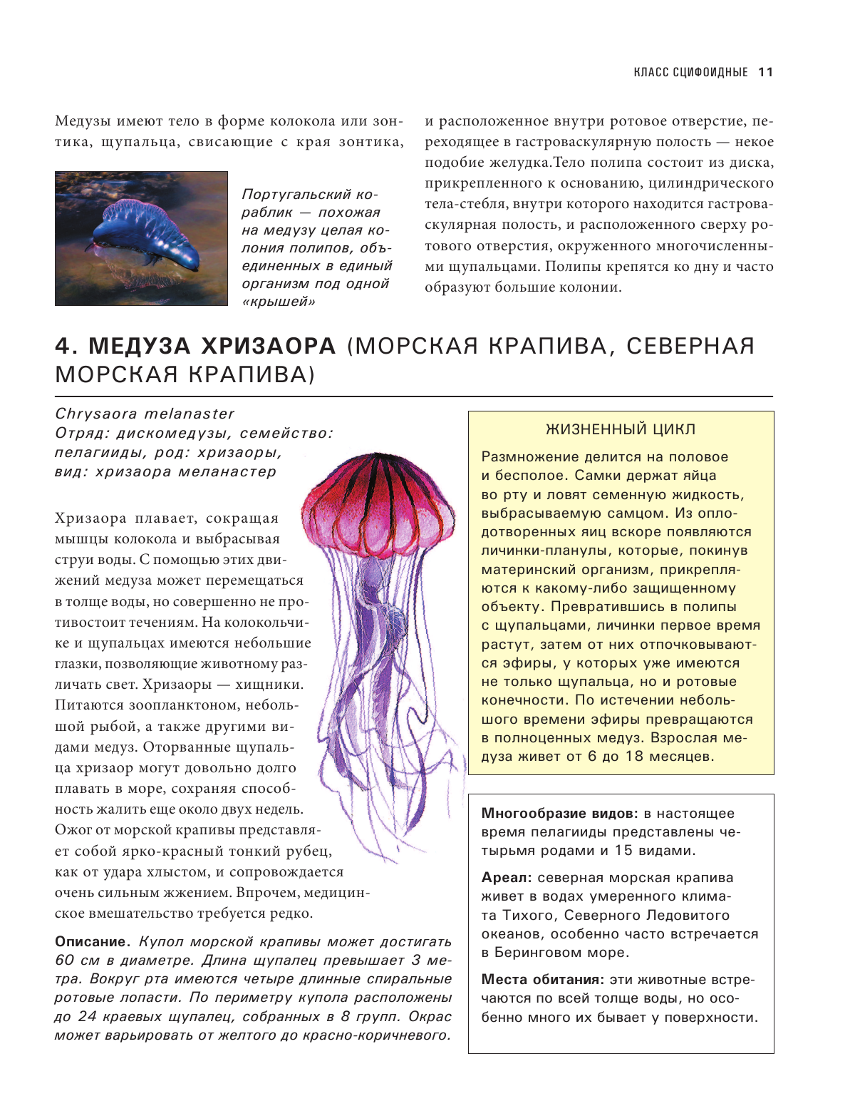 Подводный мир. Большая иллюстрированная энциклопедия - фото №14