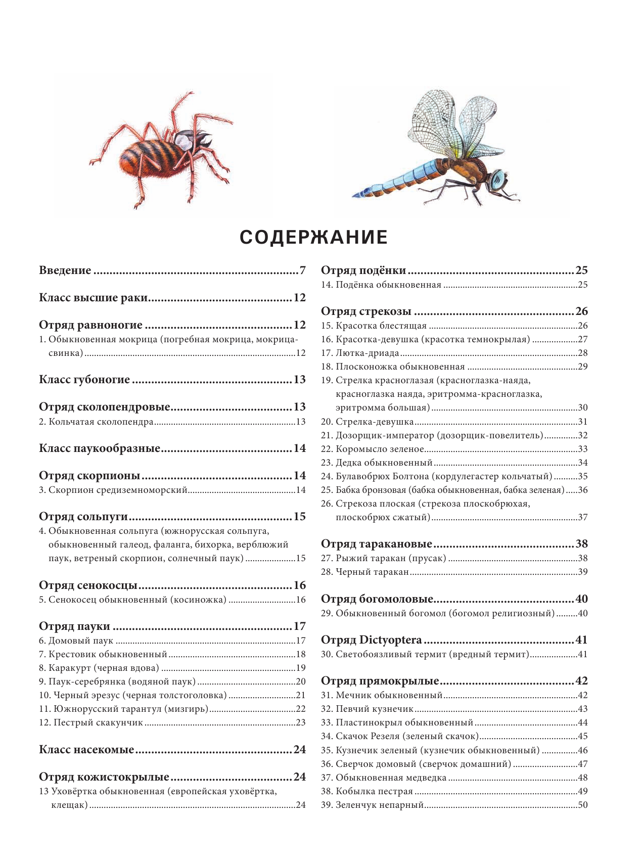 Насекомые. Иллюстрированная энциклопедия начинающего энтомолога. 240 популярных видов - фото №3