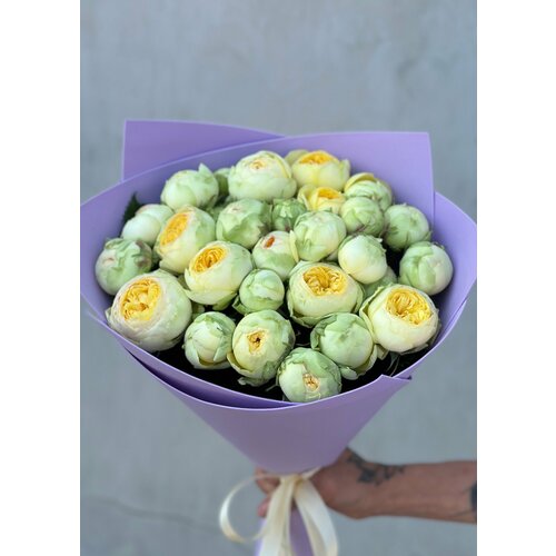 Букет из 15 кустовых пионовидных роз "Пиони Баблз" в упаковке / Радуга Букет
