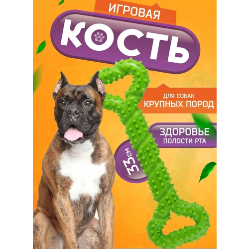 Игрушки для собак, кость, антистресс, цвет зеленый игрушки для собак кость грызунок кусалка для собак зубочистки антистресс